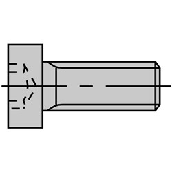 LEUCO HEAD CAP SCREWS - WITH TORX M3.5X5.5 T15