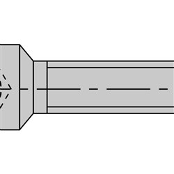 LEUCO SCREWS M8X24R
