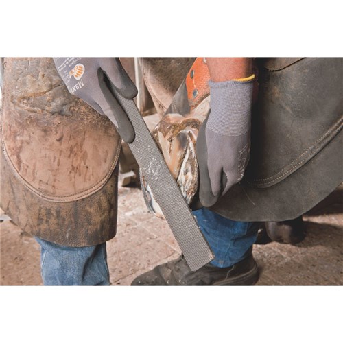 Horse Shoe File 3515 350 mm