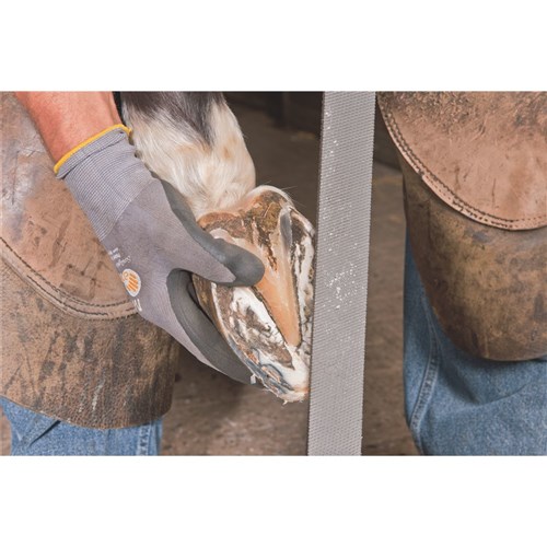 Horse Shoe File 3515 350 mm