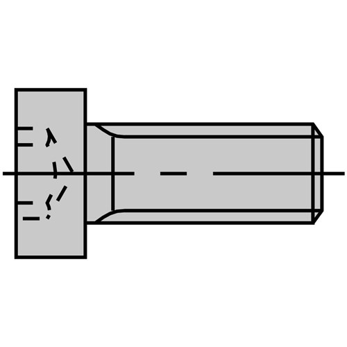 LEUCO HEAD CAP SCREWS - WITH TORX M3X5.5 T8