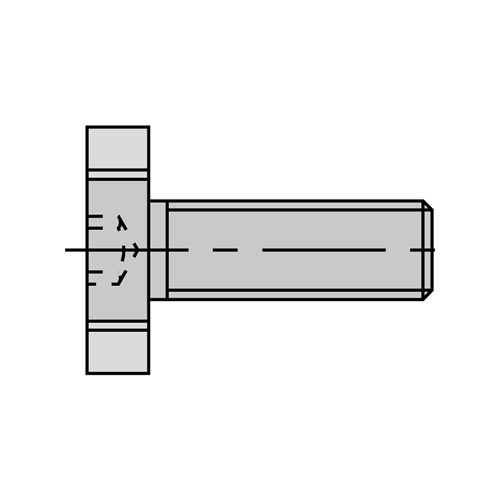 LEUCO CUTTER RETAINING BOLTS M10X18XØ28